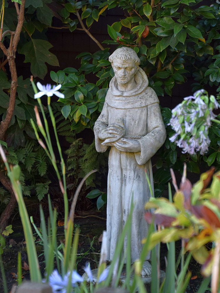 SaintFrancis.jpg