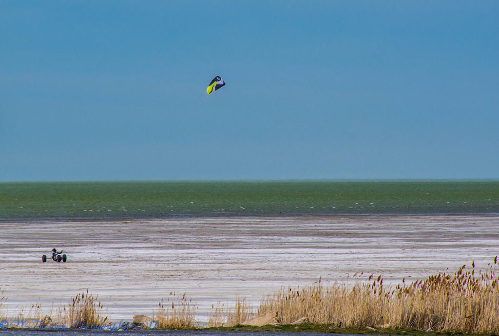 Salt Air Kite Flying 3-18-2017.jpg