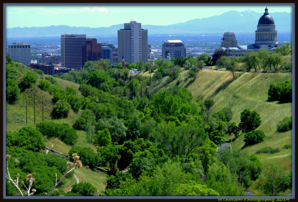 Salt Lake City from City Creek Canyon.jpg