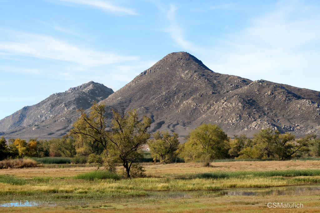 San Jacinto N LR 500_7323.jpg