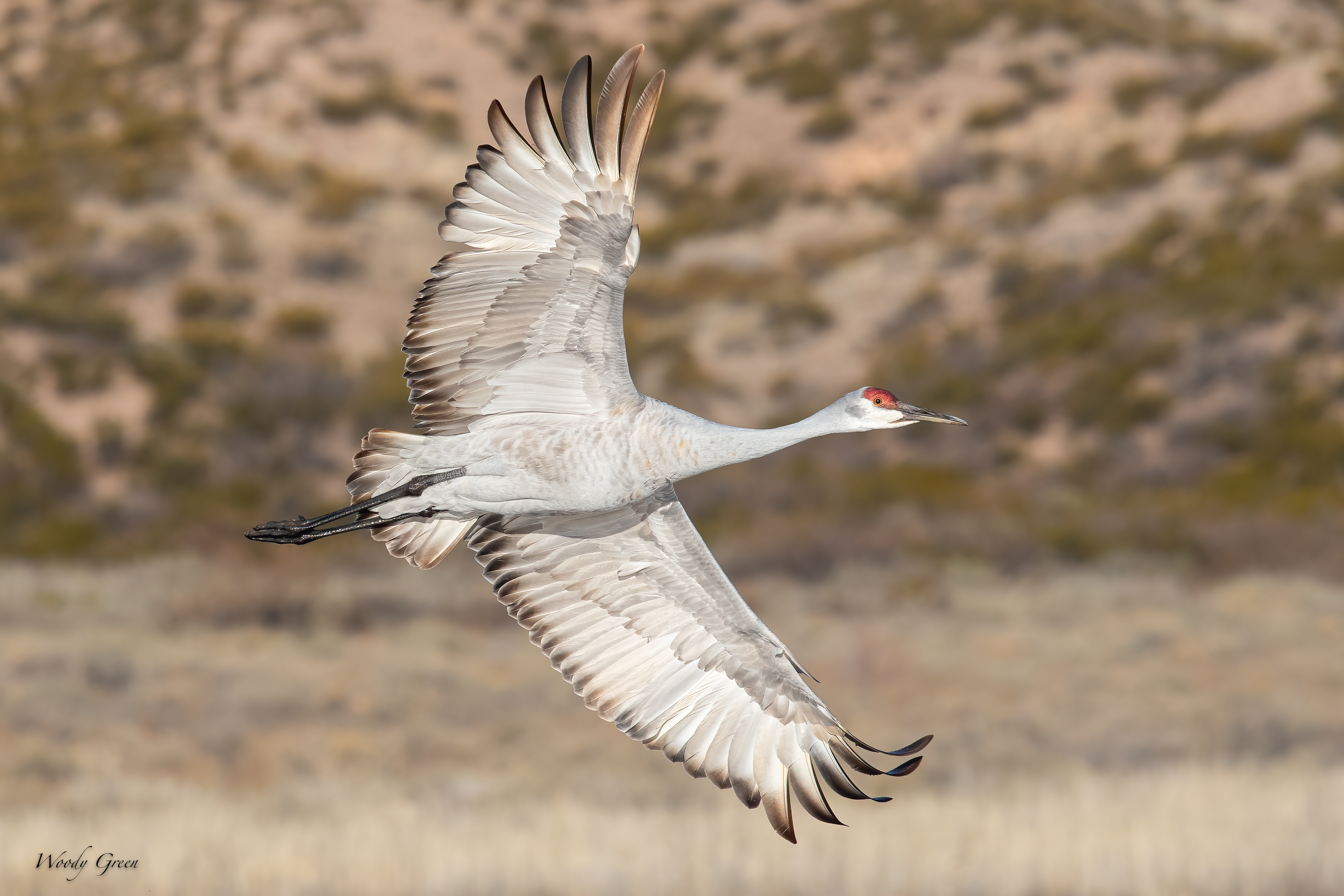 SandhillBank-502.jpg