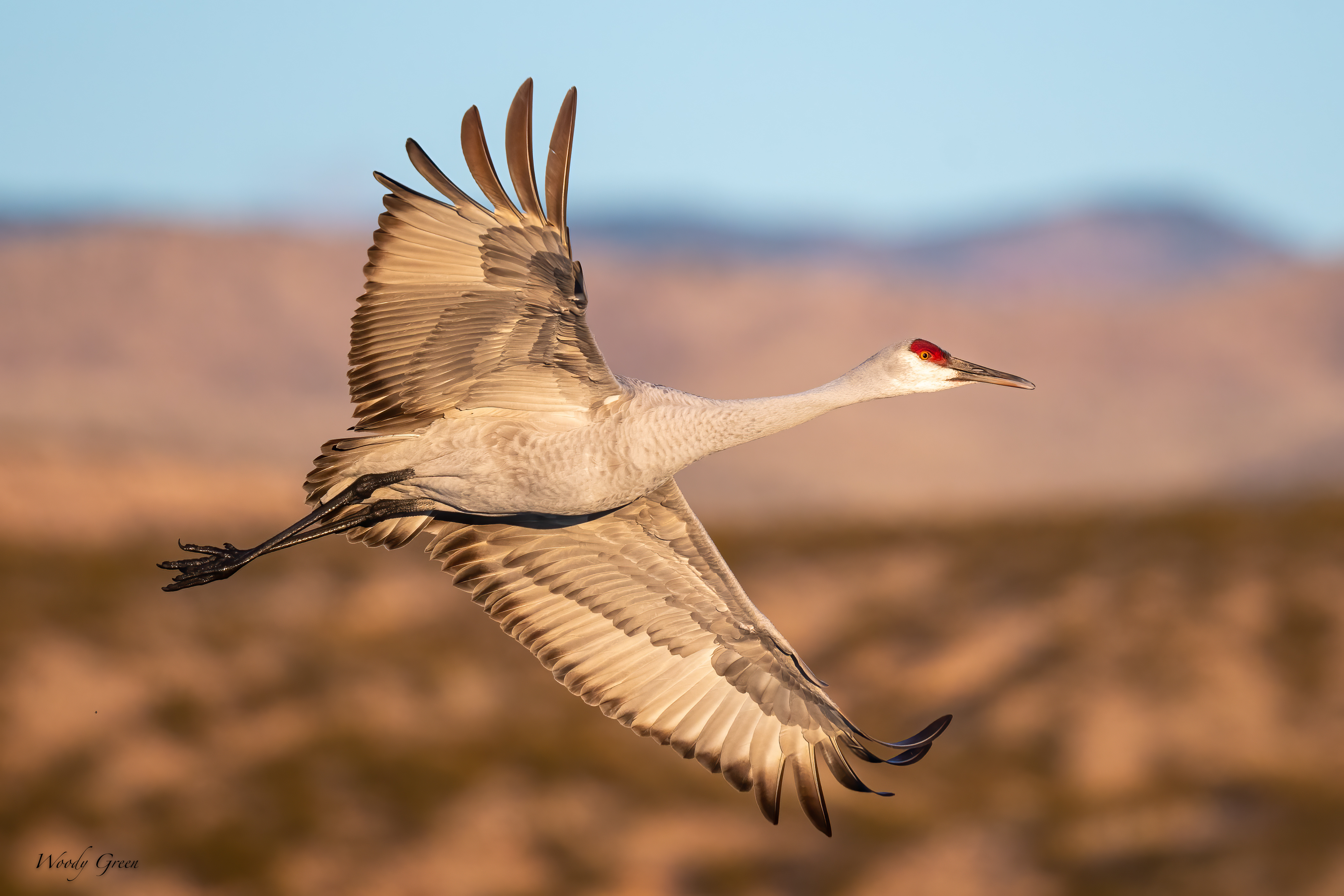 SandhillBank-503.jpg