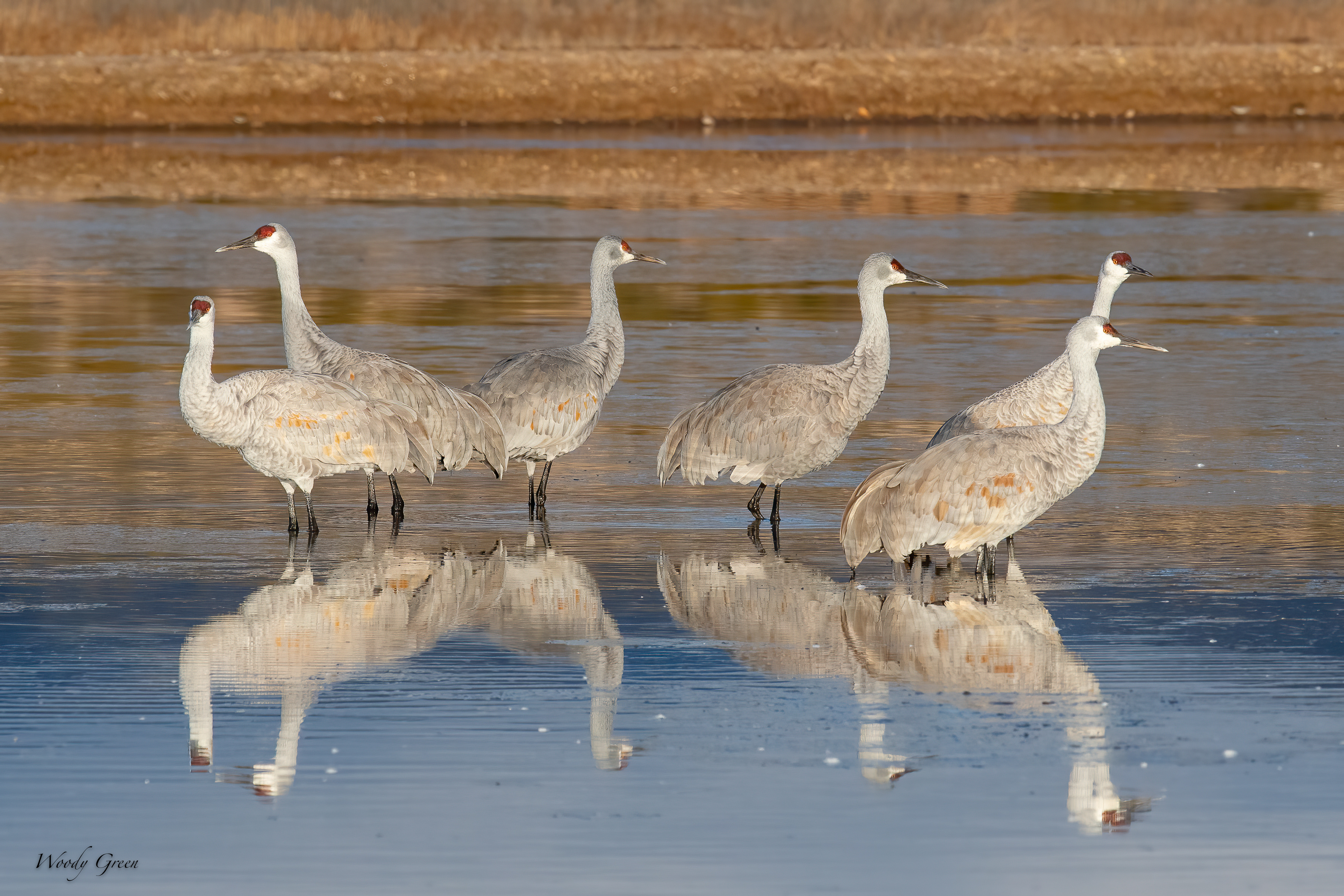 SandhillsWhichWay-535.jpg