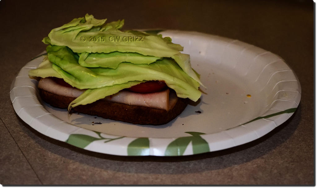 sandwich extreme-cr.jpg
