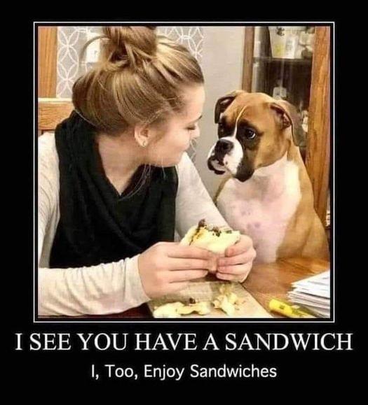 sandwich.jpg