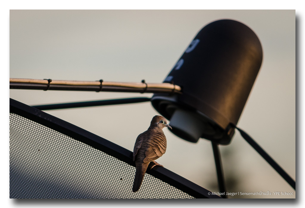 saturday-evening-shots-ype-6.jpg