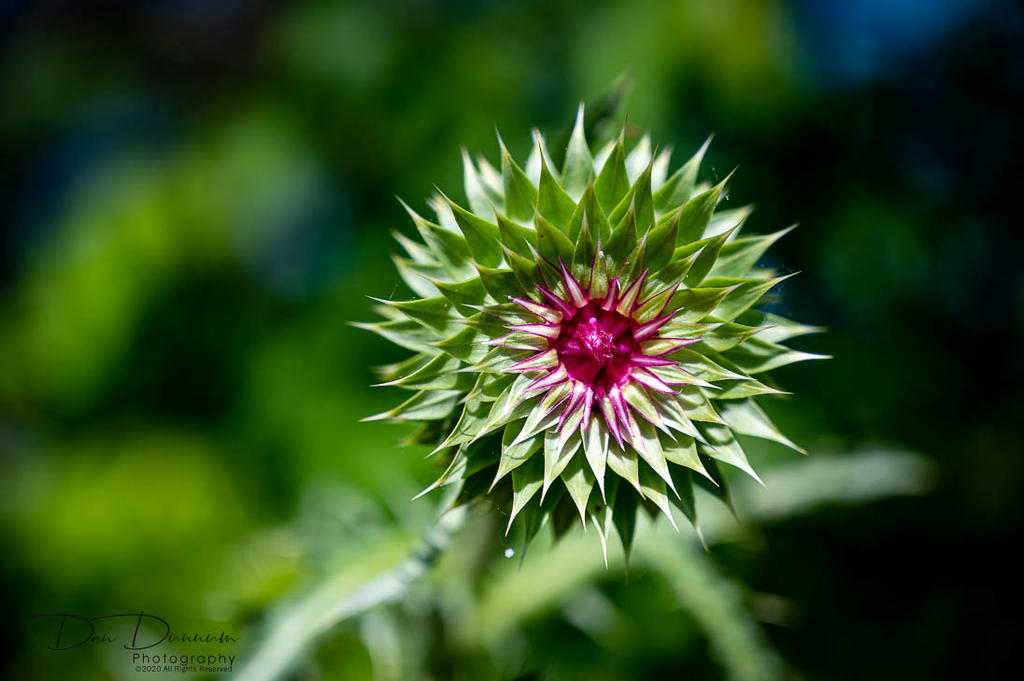 Saturday Walk-1085.jpg