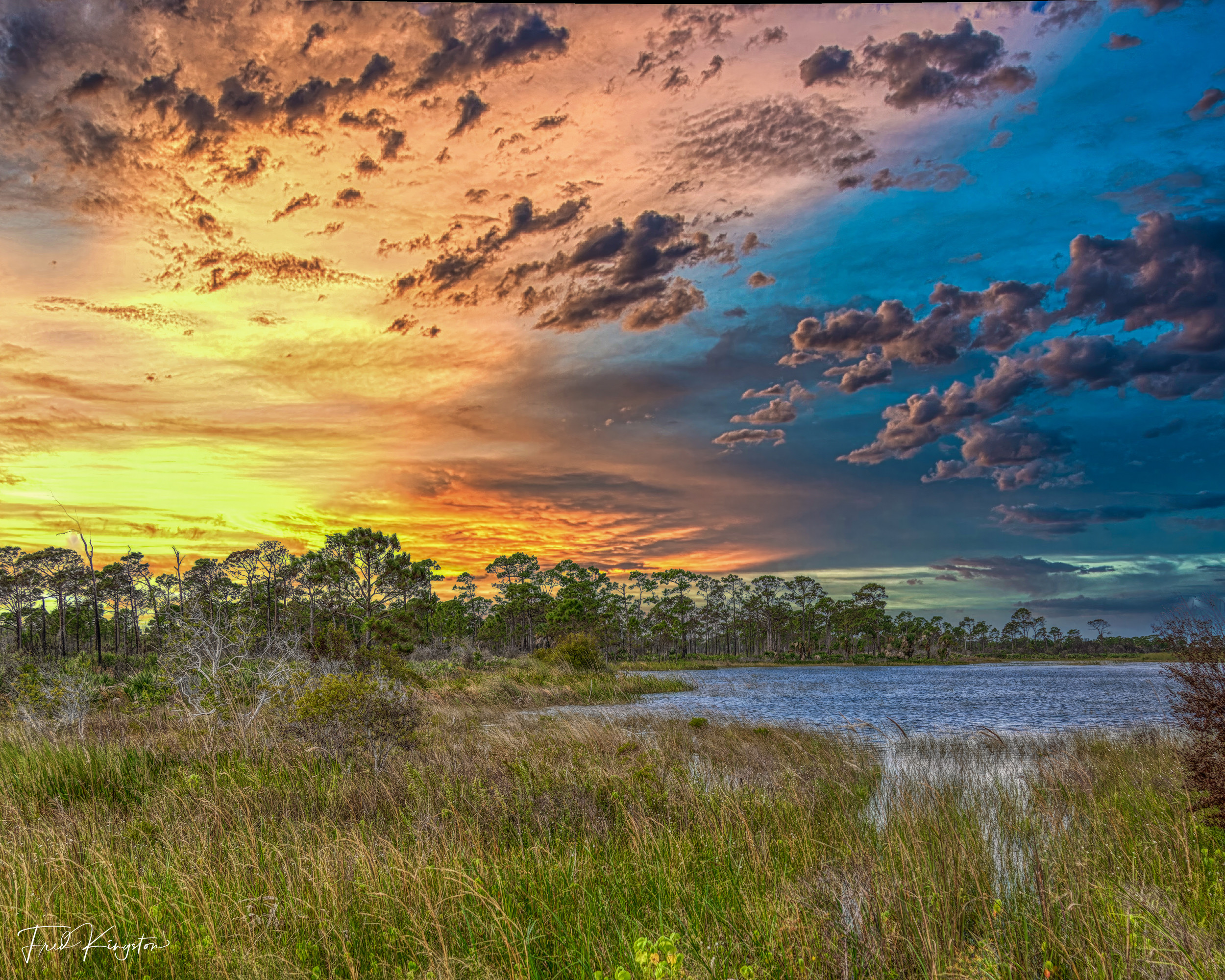 Savannah-1.jpg
