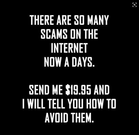 scam.jpg