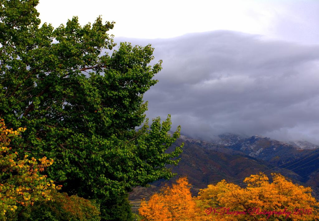 Scene from King 10-3-2016.jpg