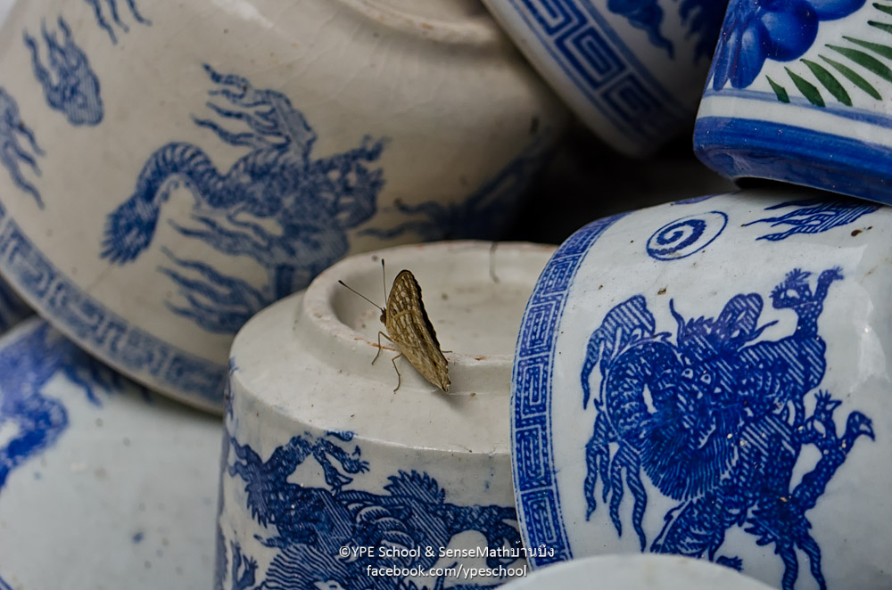 schmetterling-1.jpg