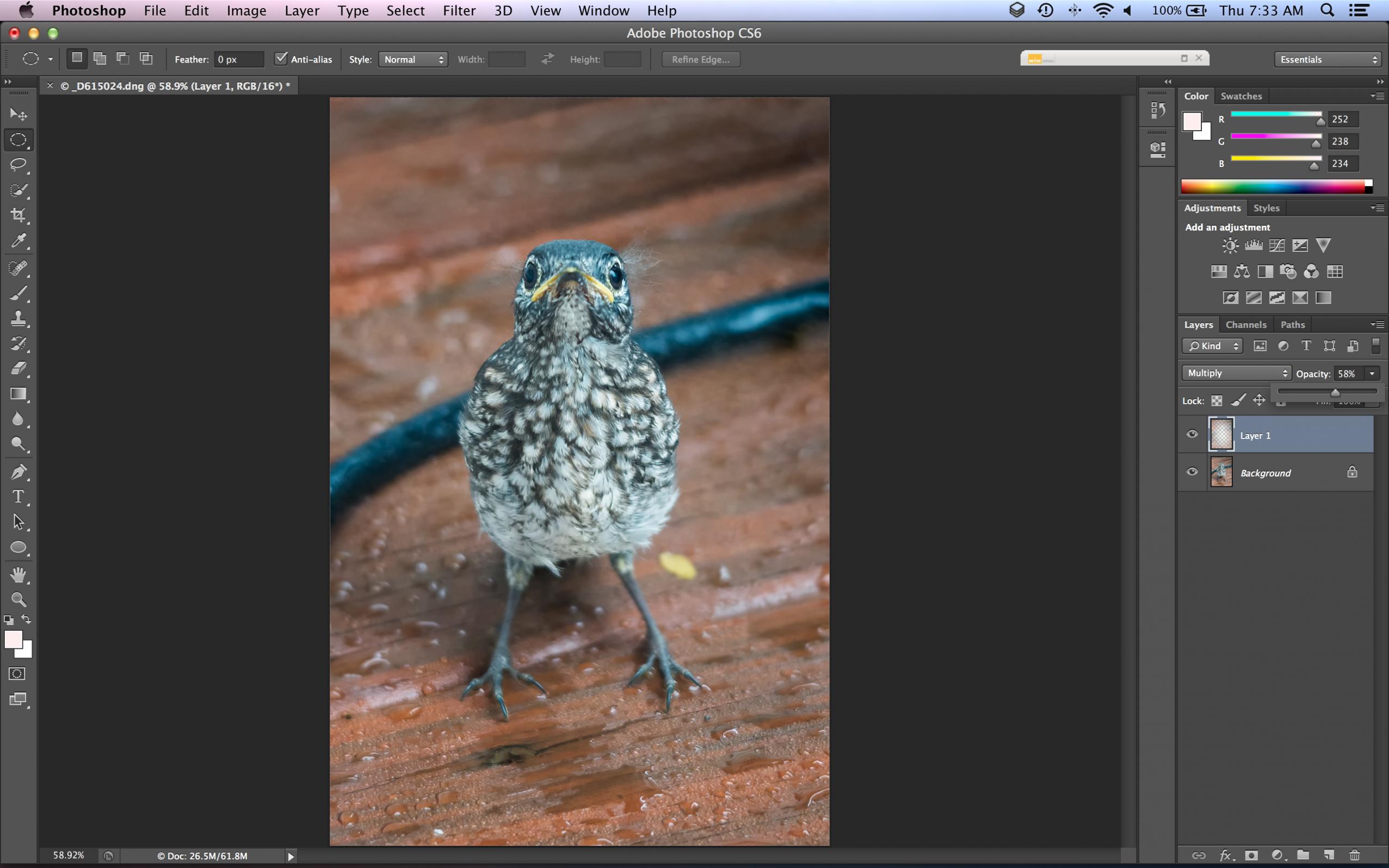 Adjust layer opacity