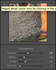 Screen Shot 2013-07-30 at 3.08.23 AM.png