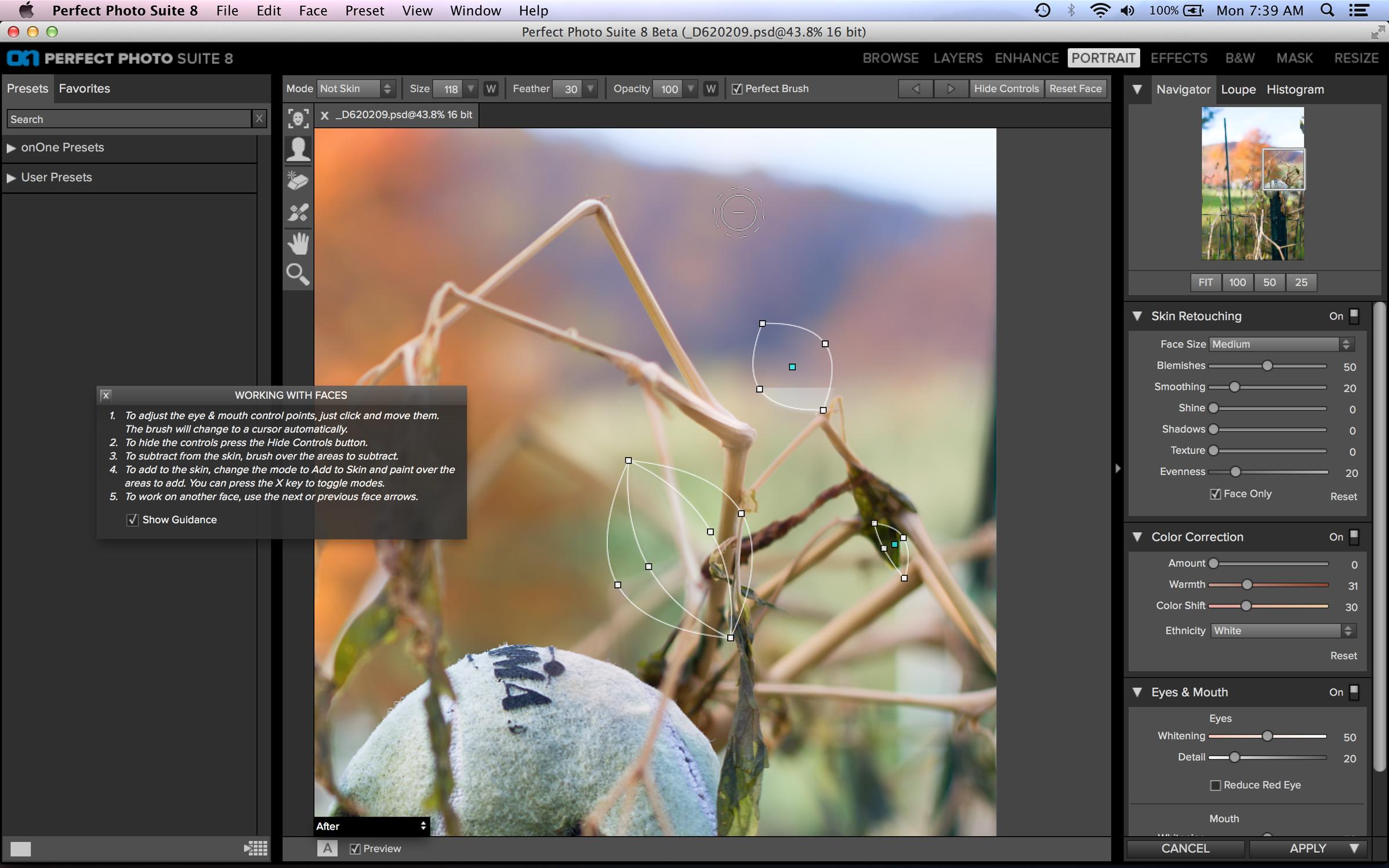 Screen Shot 2013-11-04 at 7.39.39 AM.jpg