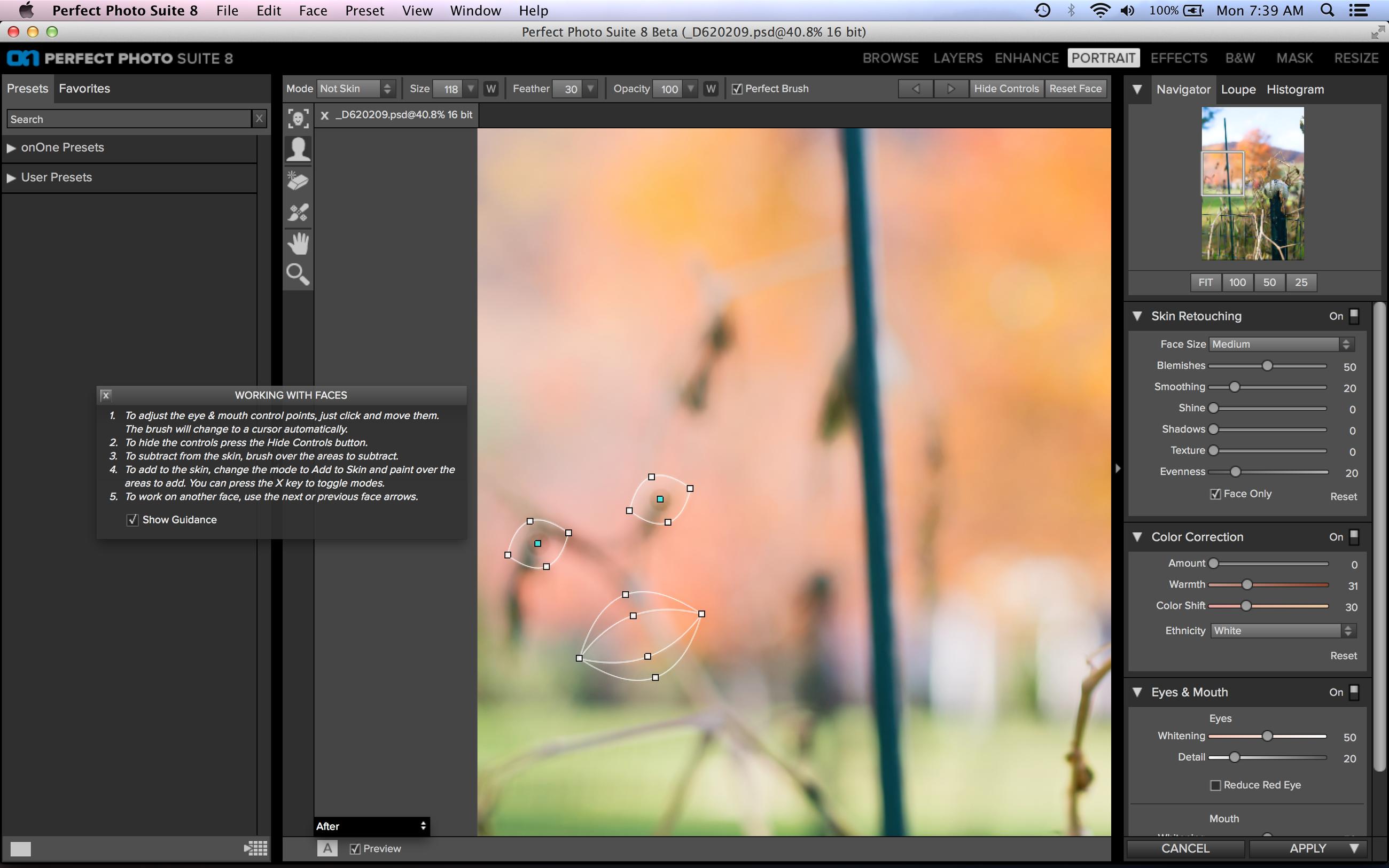 Screen Shot 2013-11-04 at 7.39.55 AM.jpg