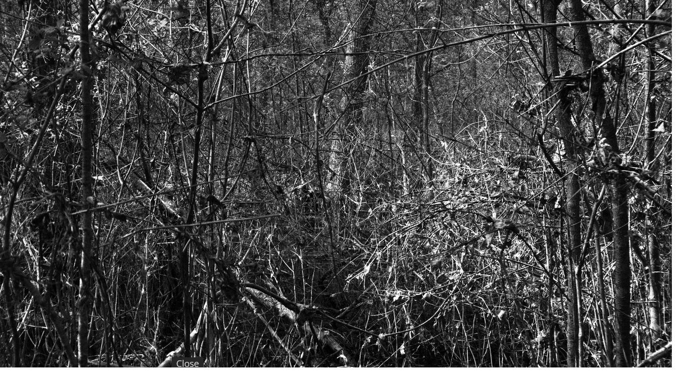 Screenshot 2023-12-31 at 00-06-48 russell scott GuruShots.png