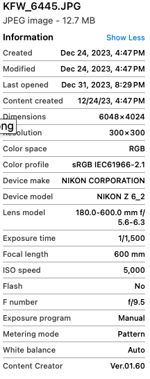 Screenshot 2024-01-11 at 12.39.09 PM.png
