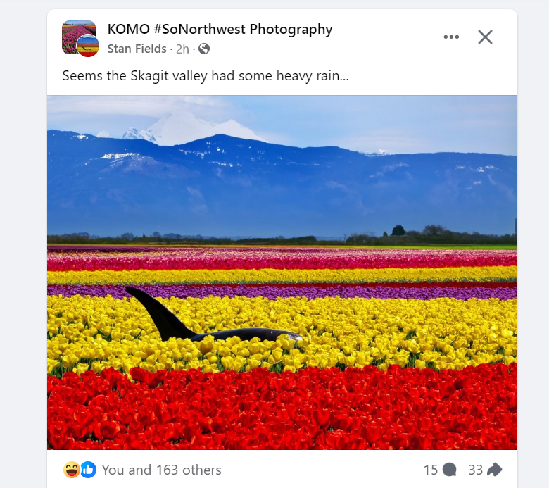 Screenshot 2024-04-05 121221.png