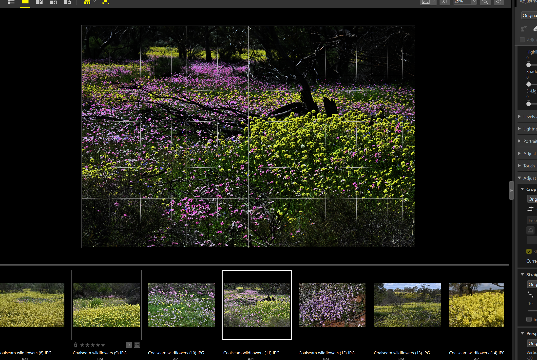 Screenshot 2024-08-31 172813.png