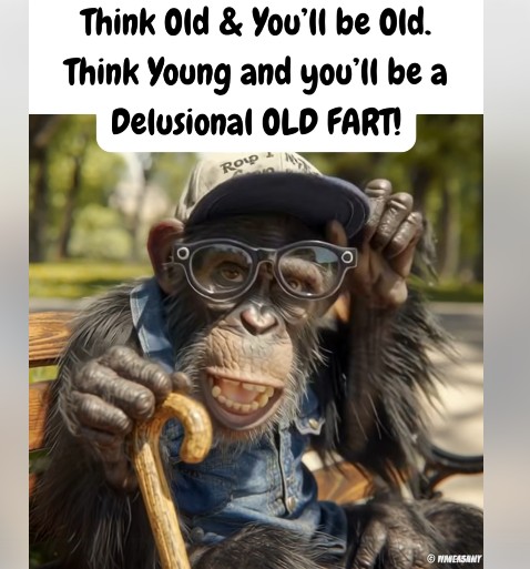 Screenshot 2025-11-07 093052.jpg