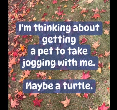 Screenshot 2025-11-08 053254.jpg