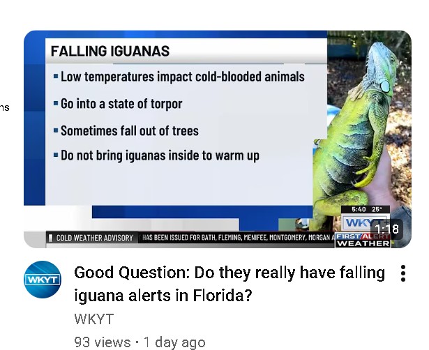 Screenshot 2026-01-21 163531.jpg