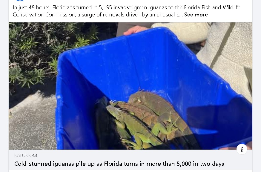 Screenshot 2026-02-04 164452.jpg