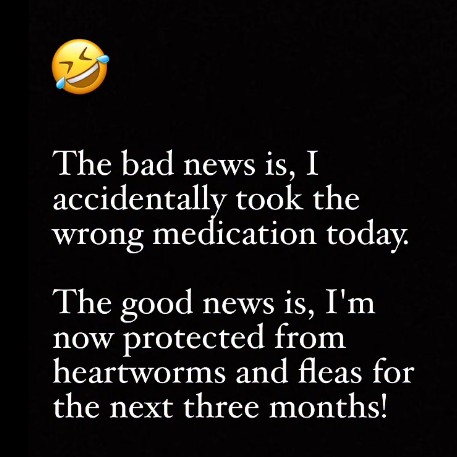 Screenshot 2026-02-14 144900.jpg