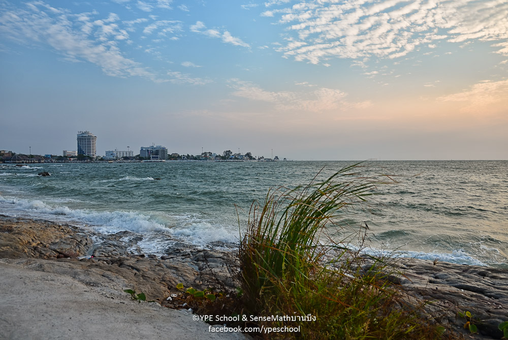 seabeach-1.jpg