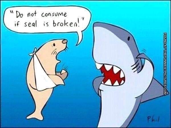 seal.jpg