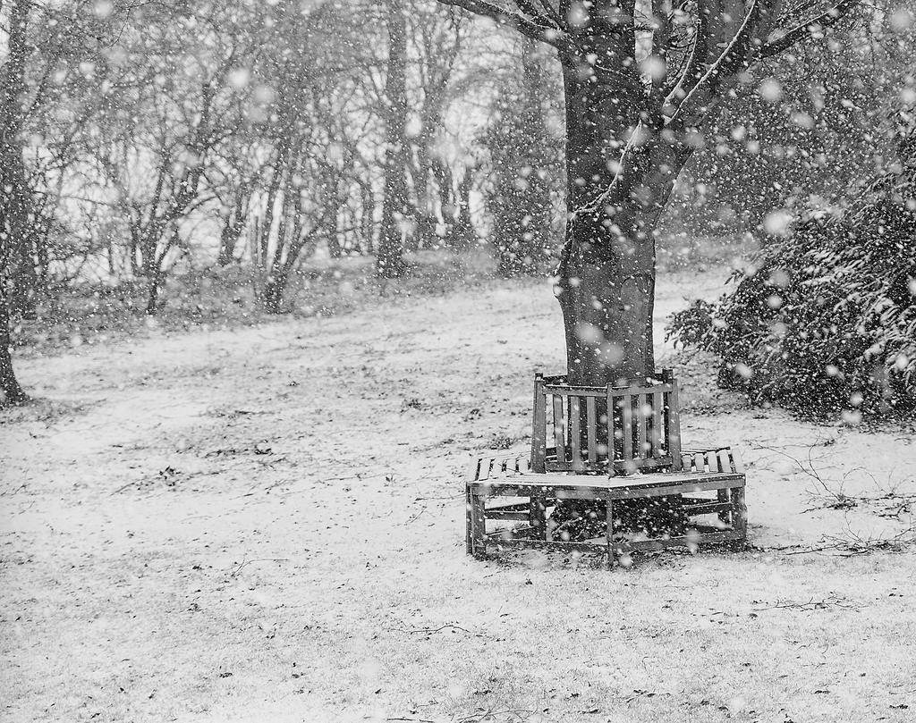 seat-in-the-snow-BW.jpg