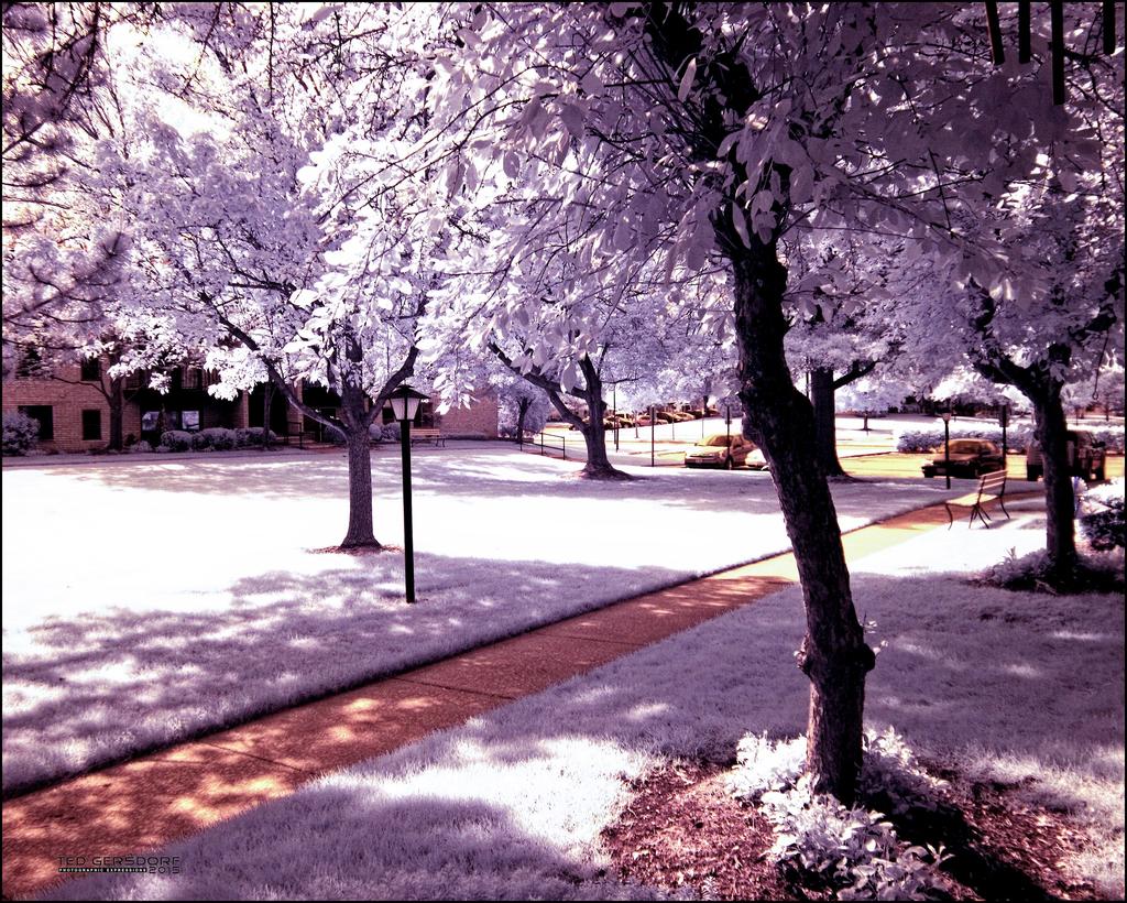 Second IR Photo.jpg