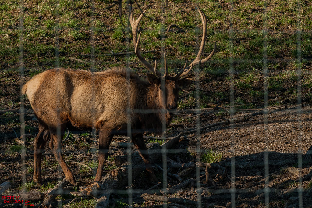 Selato Game Farm-0975.jpg