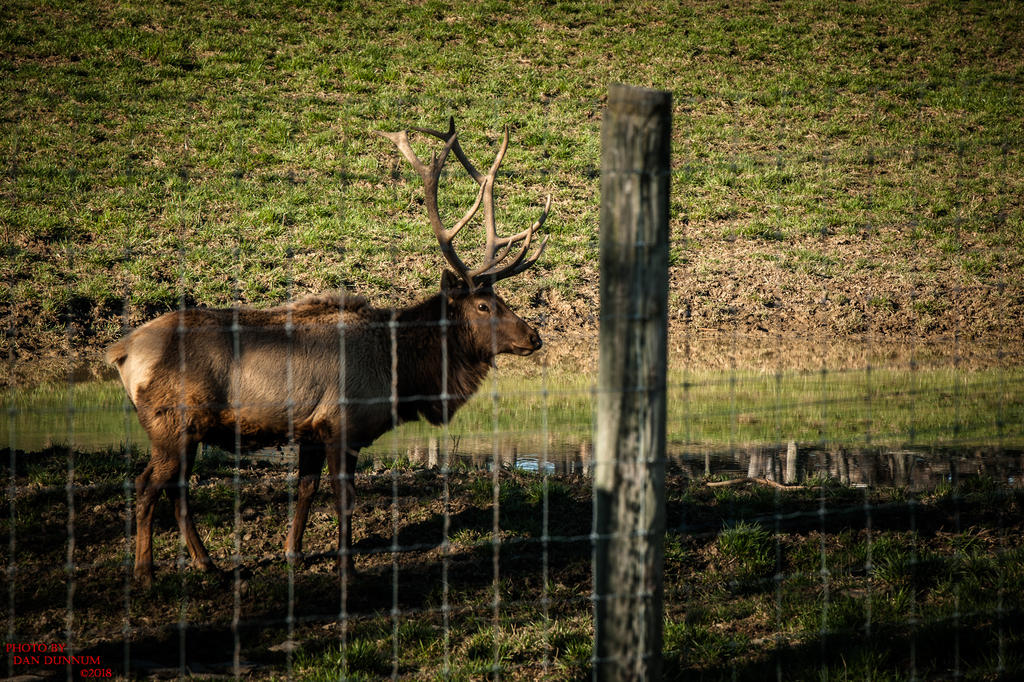 Selato Game Farm-1010.jpg