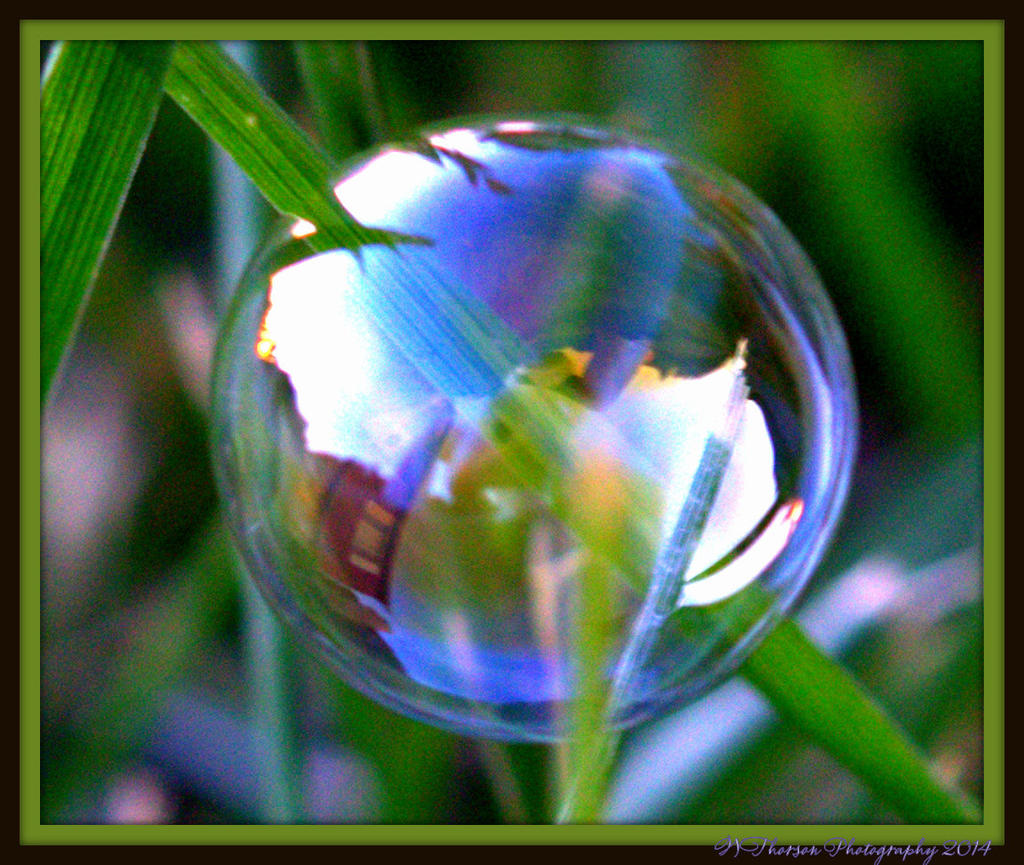 Selfie Bubble.jpg
