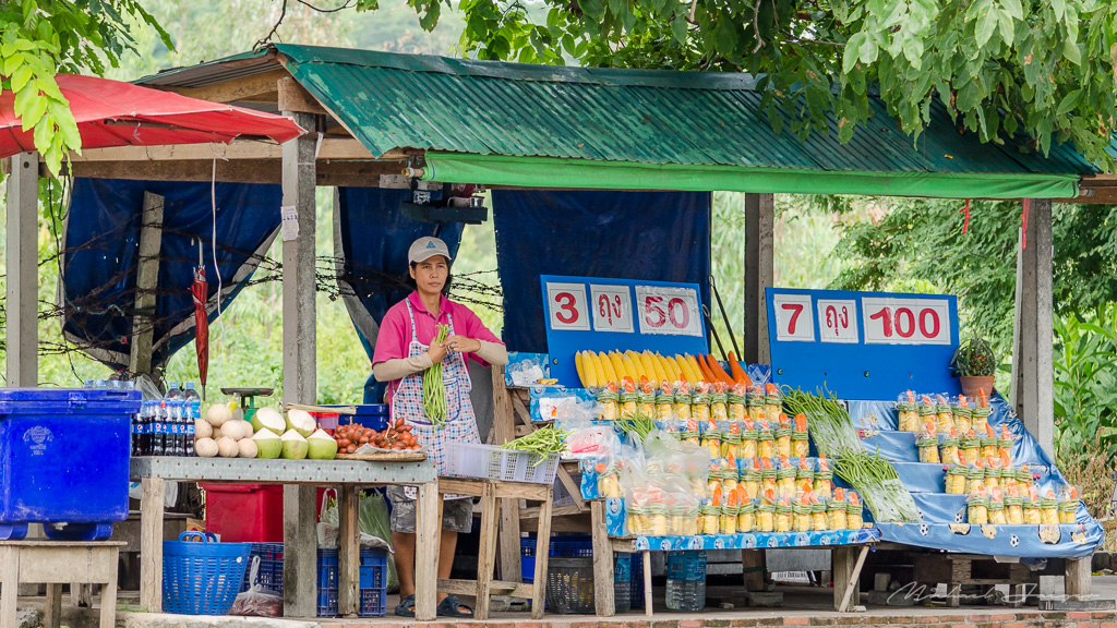 selling-at-the-zoo-2.jpg