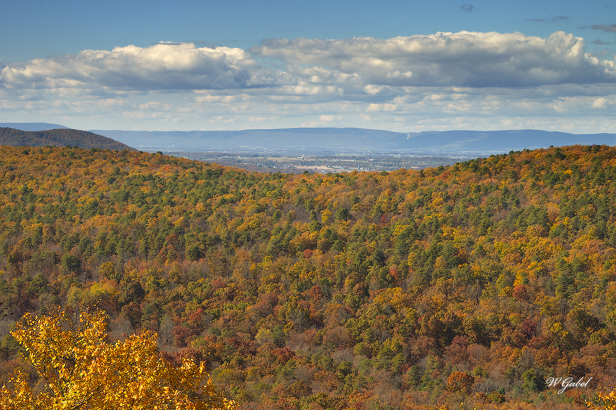 senicvista10_2025 sm.jpg