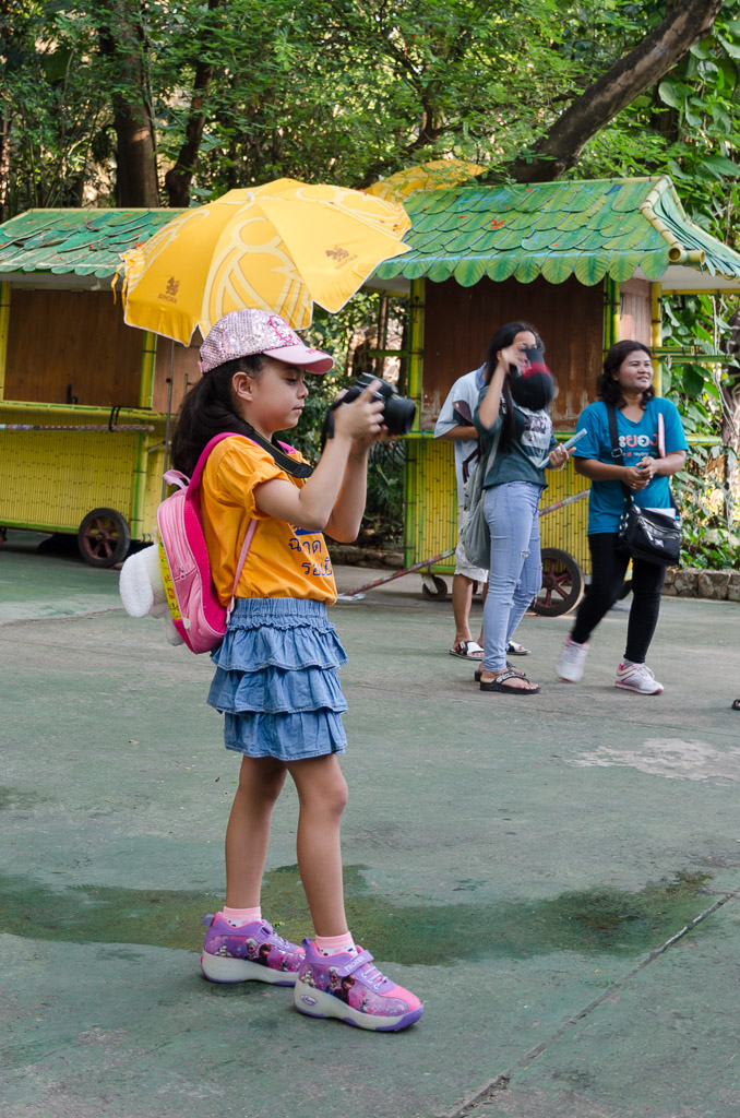 sensemath-competition-2015-safari-world-10.jpg