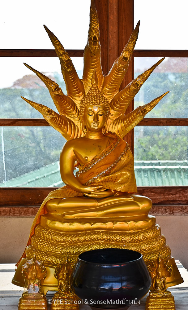 seven-days-buddha-image-1.jpg