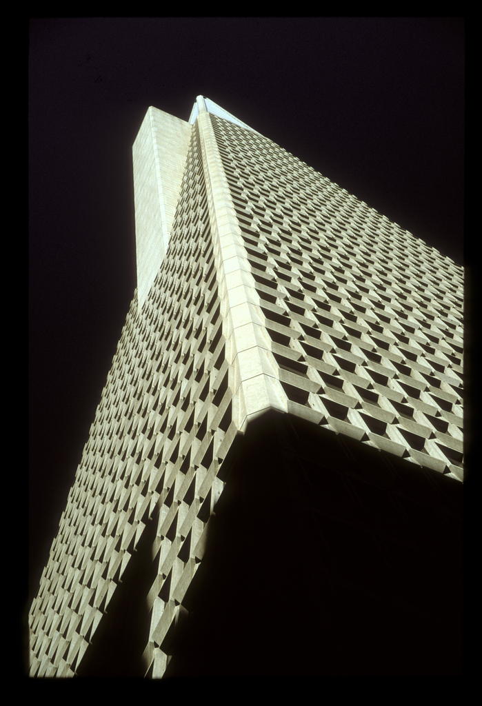 sfo (10).jpg