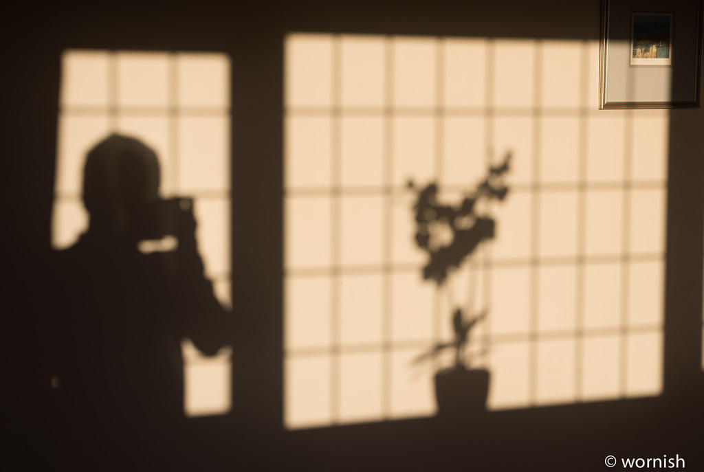 Shadow.jpg