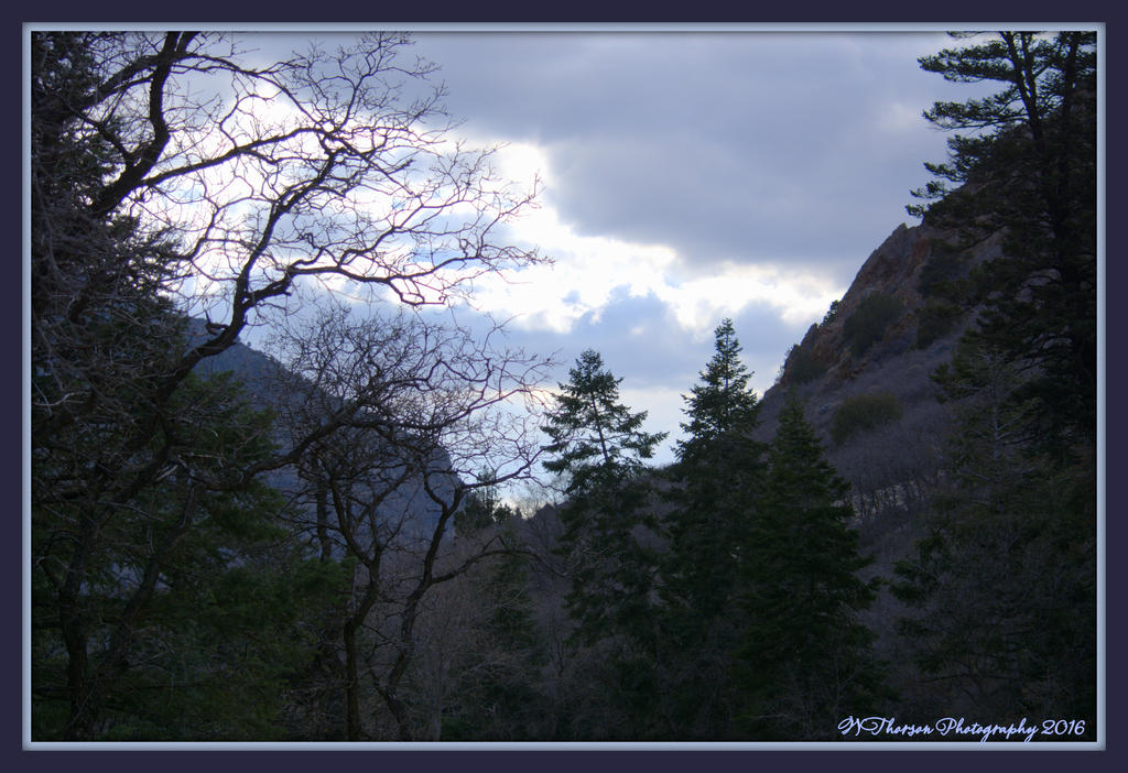 Shadows in the Canyon 3-7-2016.jpg