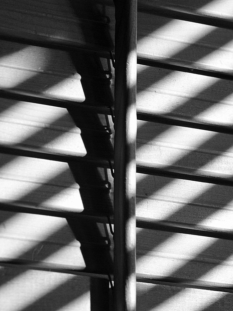 Shadows2.jpg