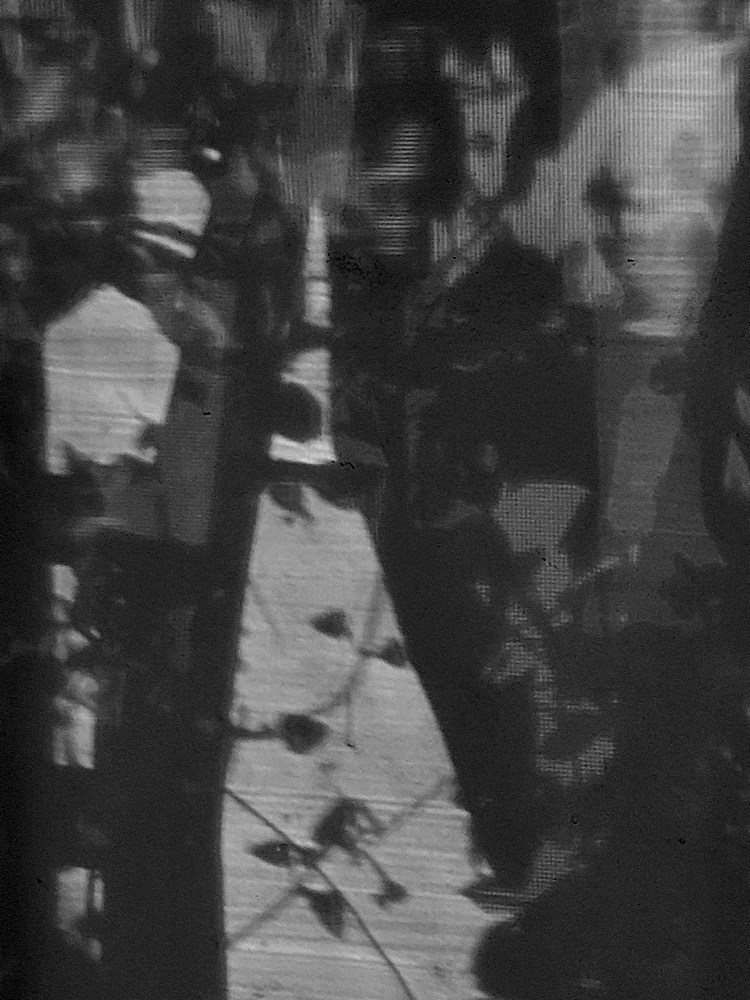 Shadows3.jpg