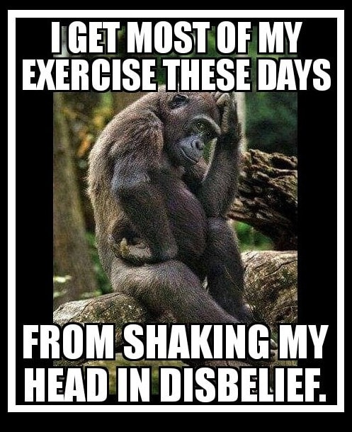 shake.jpg