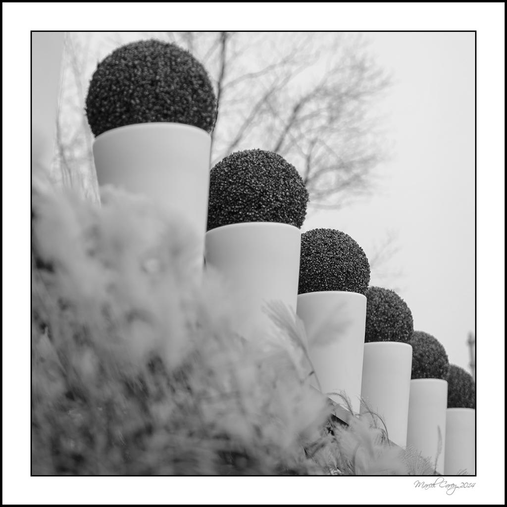 Shapes and patterns.jpg