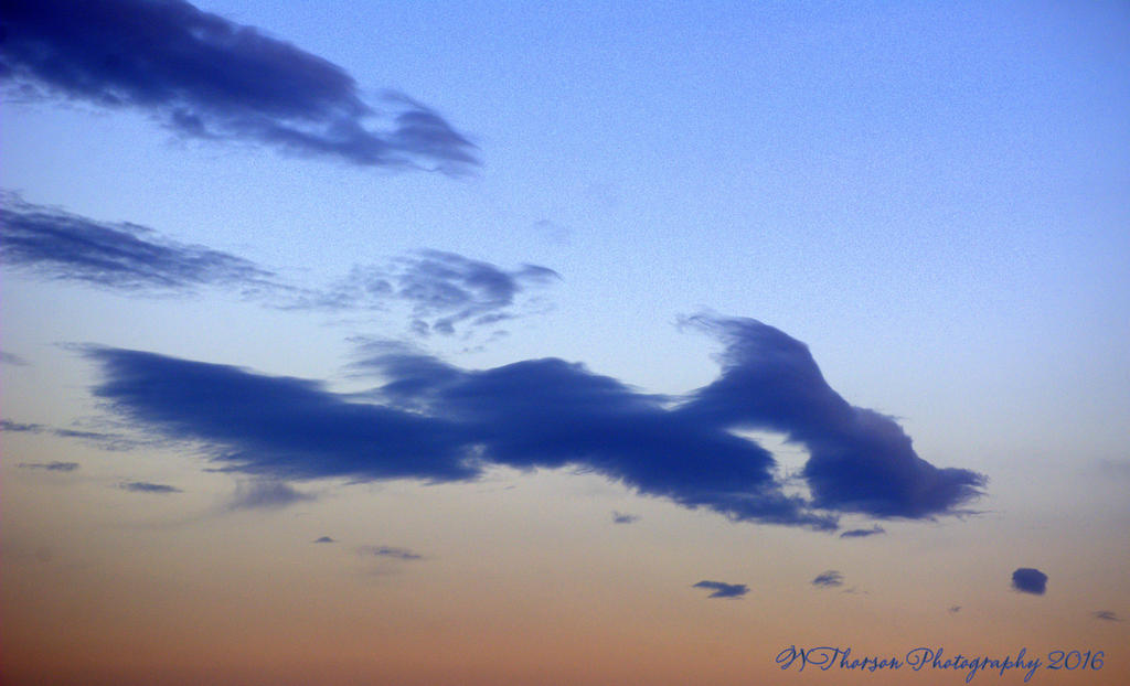 Shark Cloud 9-6-2016.jpg