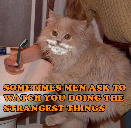shaving-the-cat-big.jpg