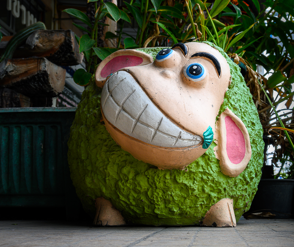 sheep-1.jpg