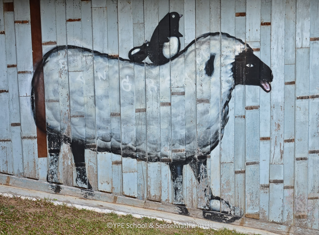 sheep-1.jpg